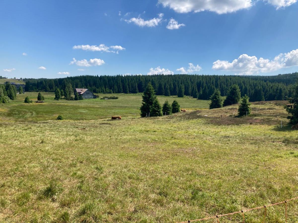 Apartmany V Lese Bedrichov  Luaran gambar