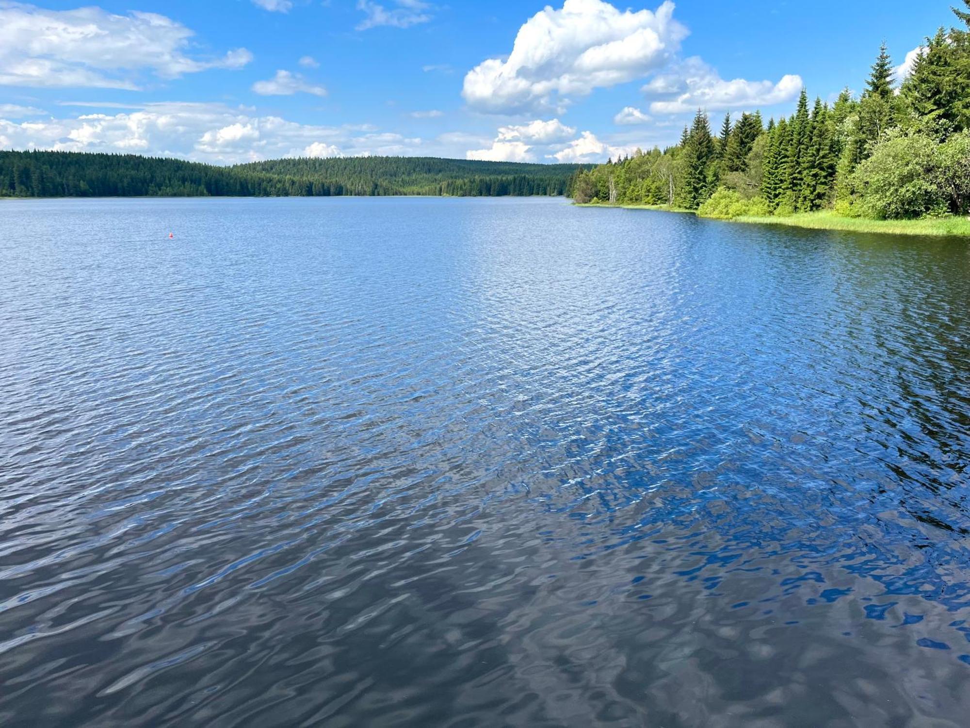 Apartmany V Lese Bedrichov  Luaran gambar