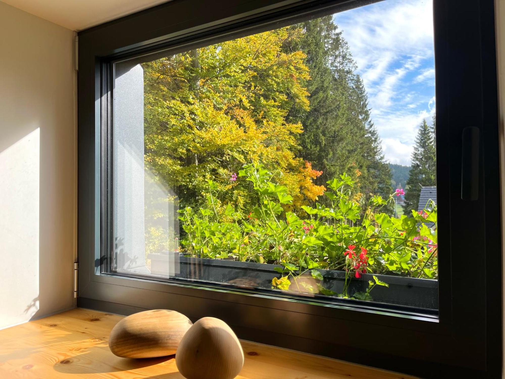 Apartmany V Lese Bedrichov  Luaran gambar